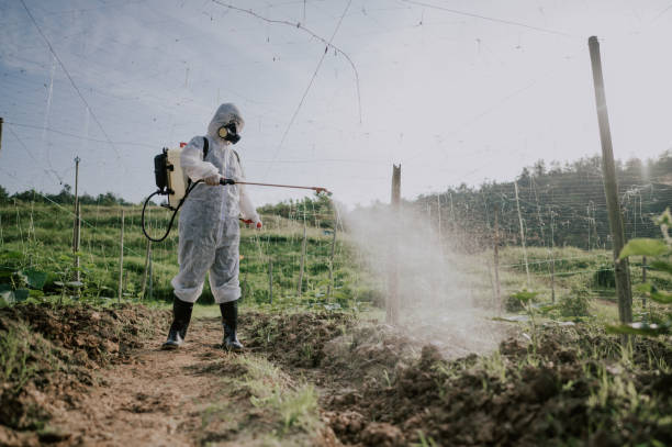 Best Pest Removal Services  in Orchard Hills, PA