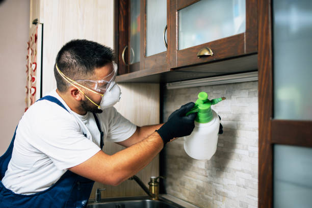 Professional Pest Control in Orchard Hills, PA