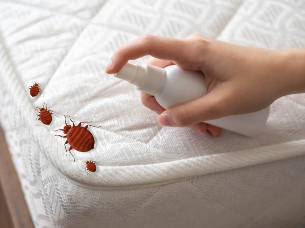 Best Affordable Pest Control Services  in Orchard Hills, PA