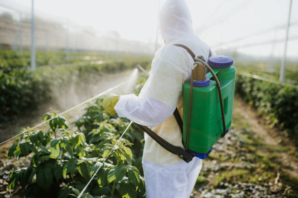 Best Pest Control for Restaurants  in Orchard Hills, PA